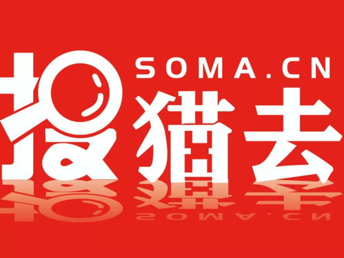 深圳搜貓去網(wǎng)絡科技