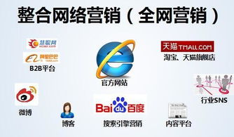 德城區(qū)關(guān)鍵詞快排公司,電商平臺見效快